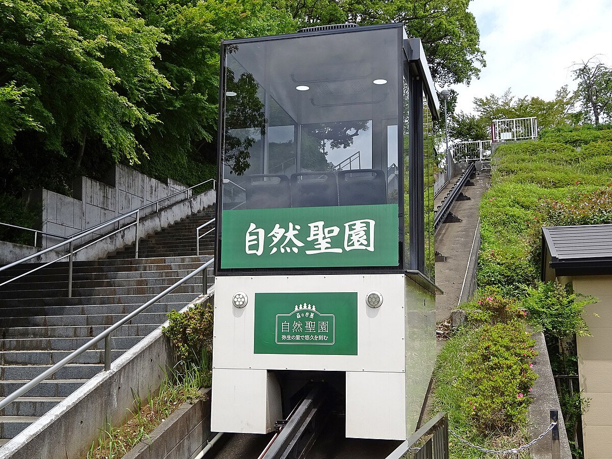 🍁 계록미 관음 적광원 (쓰가오칸논 작코인) 이미지 5